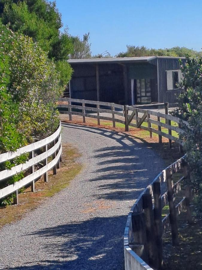 Koru Beachfront Holiday Cabins & Hot Tub 巴里敦 外观 照片
