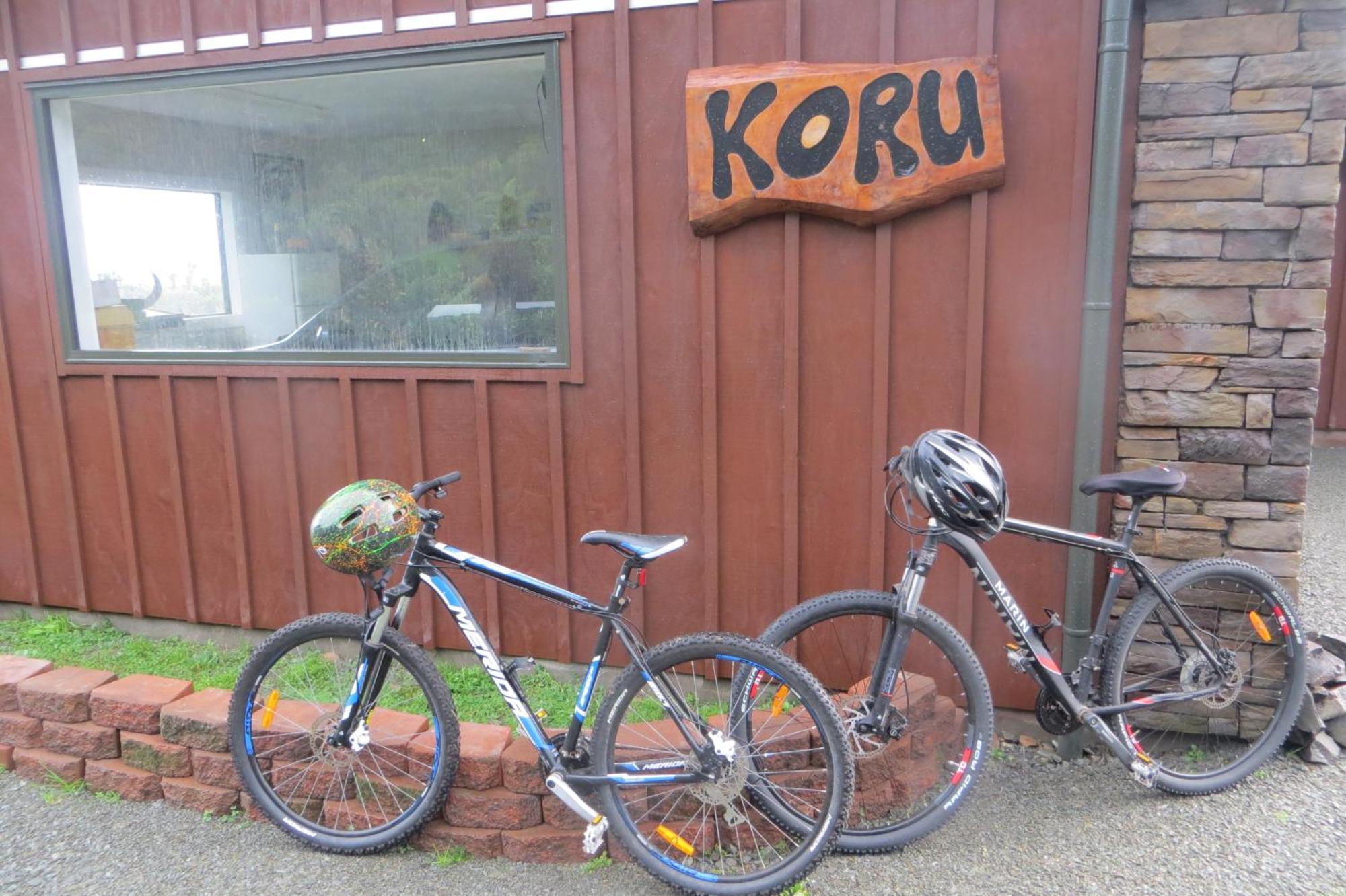 Koru Beachfront Holiday Cabins & Hot Tub 巴里敦 外观 照片